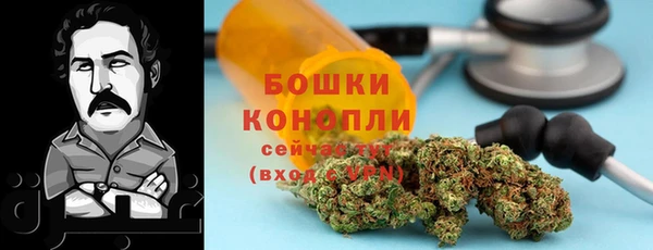 ГАЛЛЮЦИНОГЕННЫЕ ГРИБЫ Лихославль