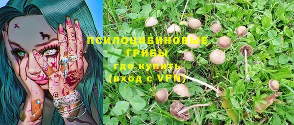 таблы Липки