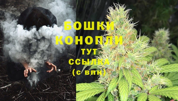 ГАЛЛЮЦИНОГЕННЫЕ ГРИБЫ Лихославль